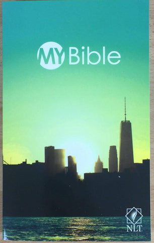 metro youth bible